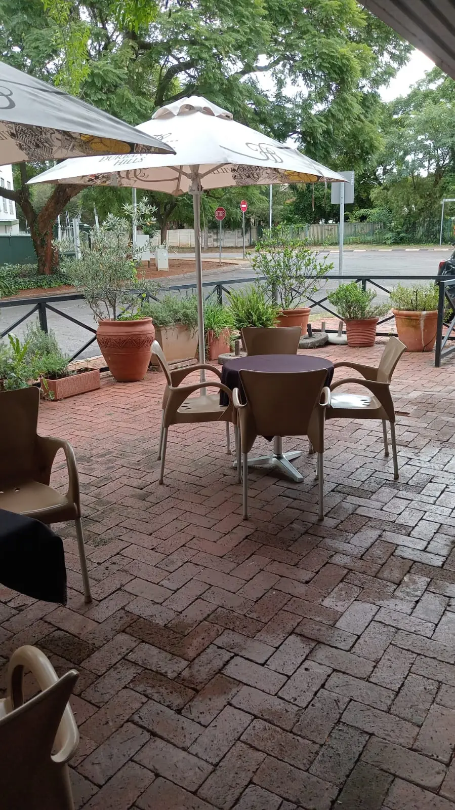 The paved terrace under the umbrellas
